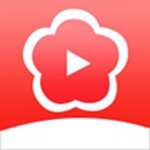 梅花社区app视频教程