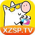小猪视频app下载免费观看